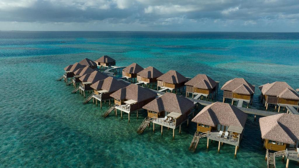 BARCELO WHALE LAGOON MALDIVES фото 8