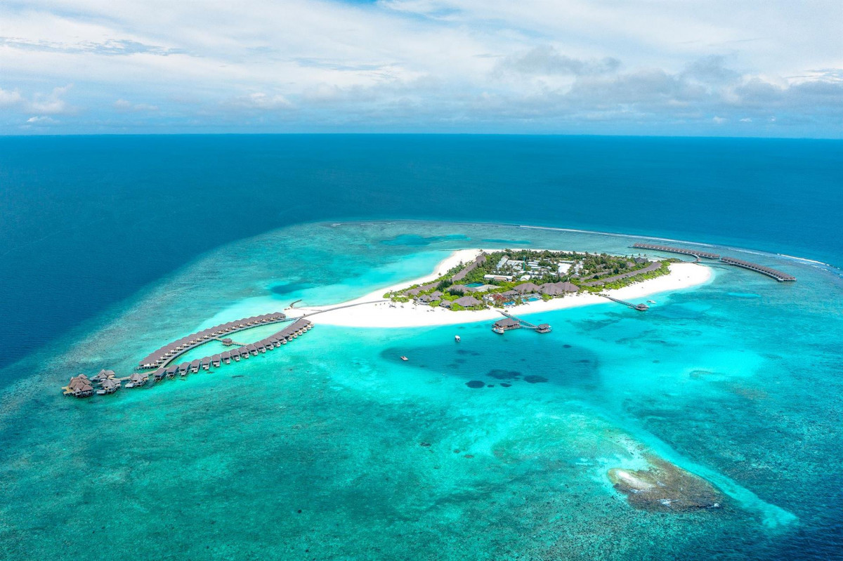 BRENNIA KOTTEFARU