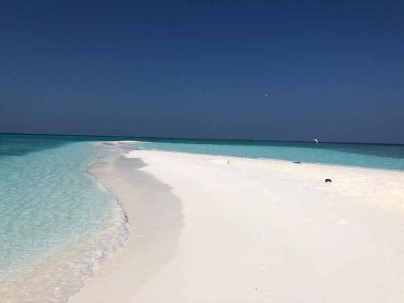 CANOPUS RETREAT THULUSDHOO фото 3