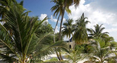 CLUB FARU фото 3