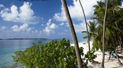 CLUB FARU фото 7