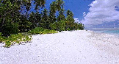 CLUB FARU фото 8