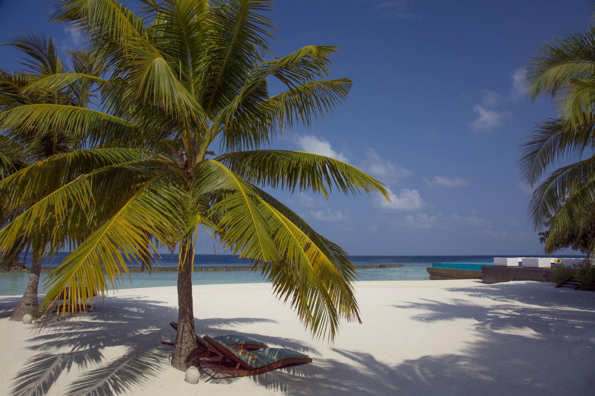 COCO BODU HITHI фото 4