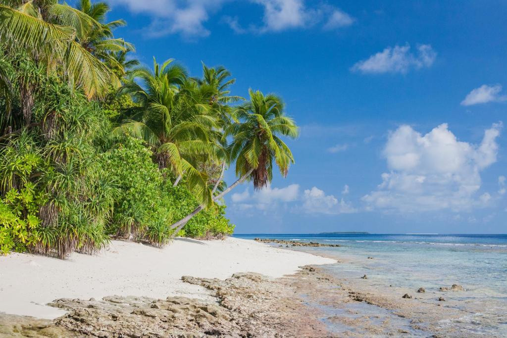 DHONFULHAFI BEACH VIEW & SPA фото 7