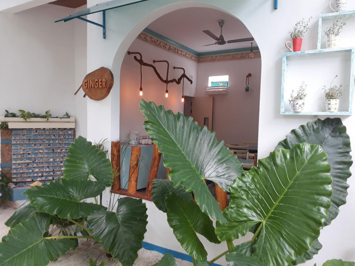 DREAM INN THULUSDHOO фото 4