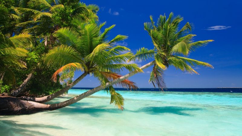FULHADHOO INN фото 6