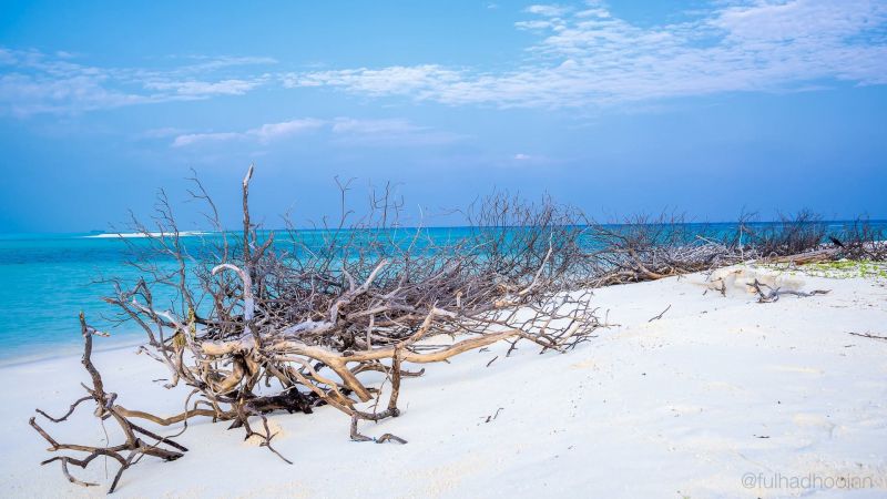 FULHADHOO INN фото 7