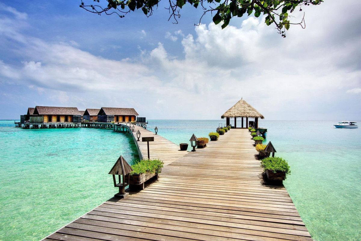 GANGEHI ISLAND RESORT фото 3