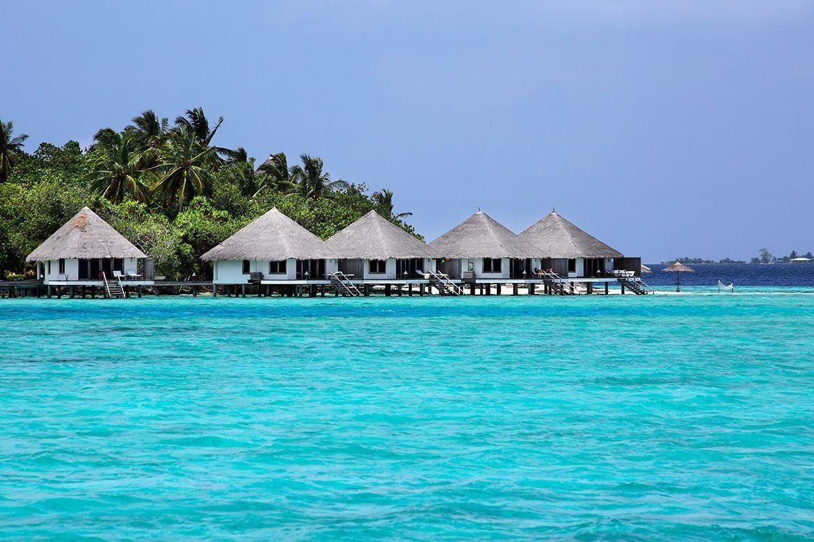 GANGEHI ISLAND RESORT фото 4