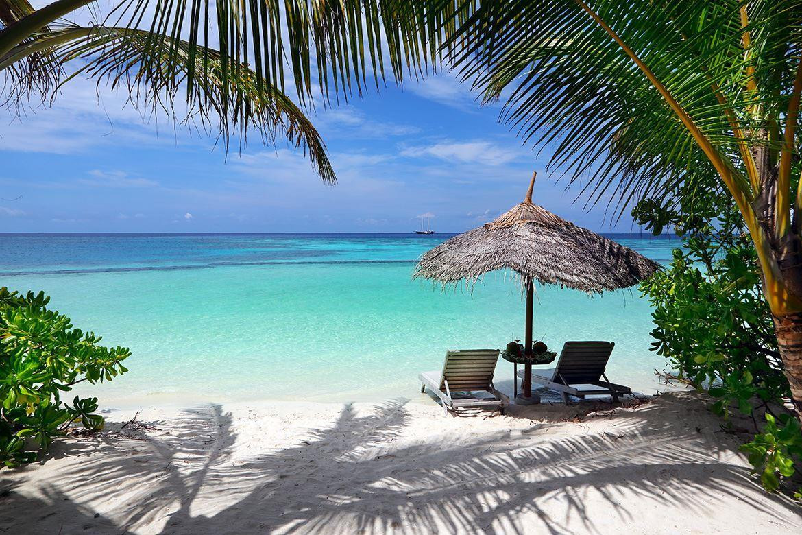 GANGEHI ISLAND RESORT фото 6