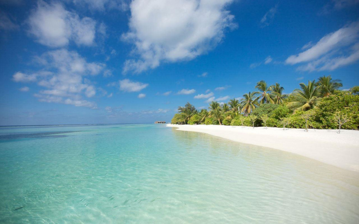 LUX* SOUTH ARI ATOLL RESORTS & VILLAS фото 4
