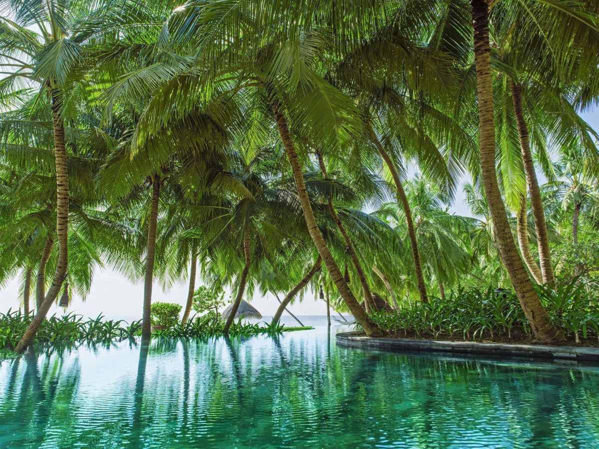 ONE & ONLY REETHI RAH фото 5