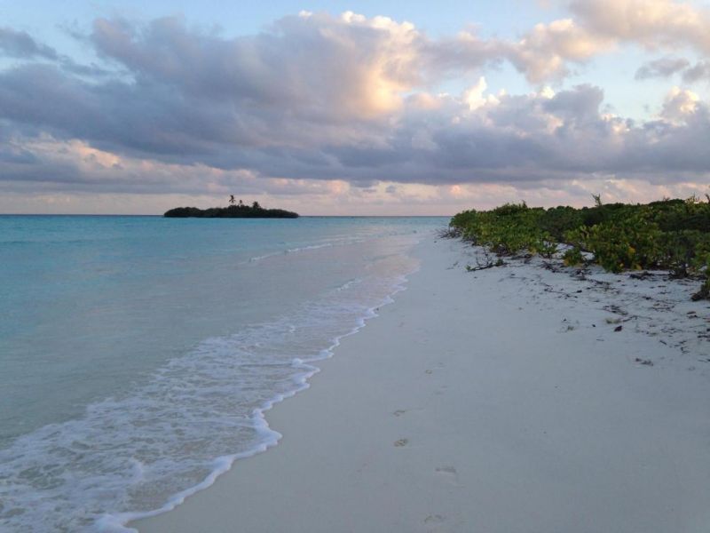 RASDHOO DIVE LODGE фото 6