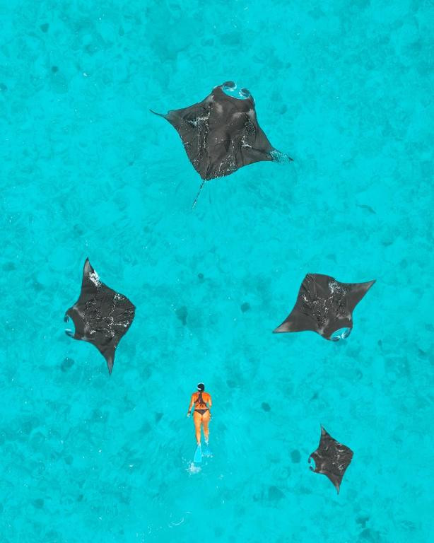 NH COLLECTION REETHI MALDIVES (EX. REETHI BEACH RESORT) фото 4