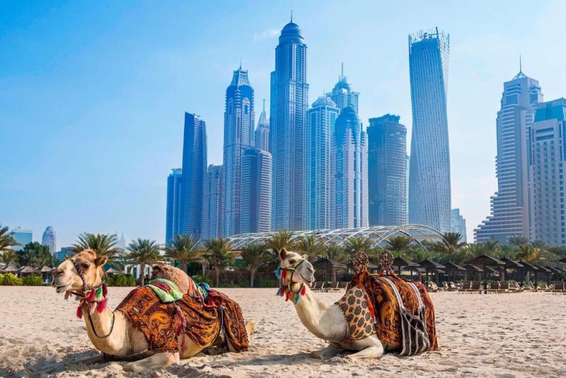 AL HABTOOR GRAND RESORT AUTOGRAPH COLLECTION фото 6