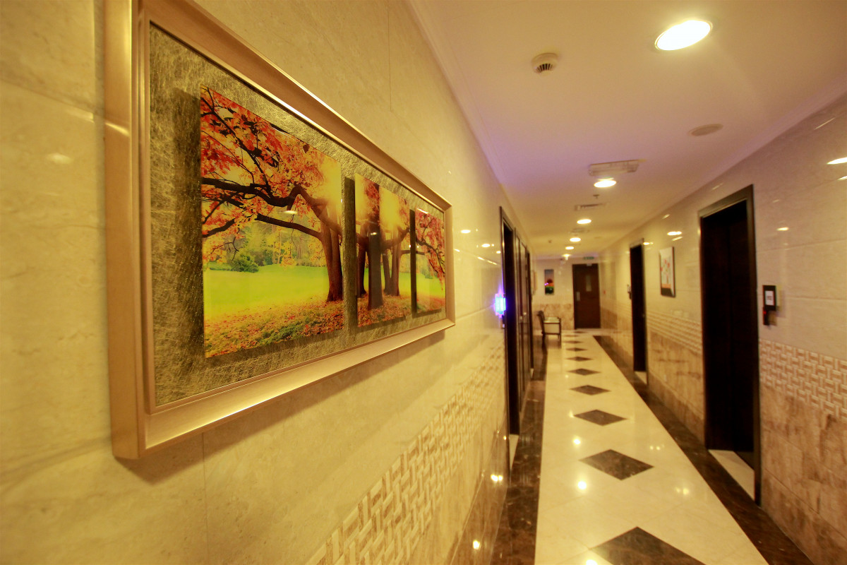 NAIF VIEW  фото 4