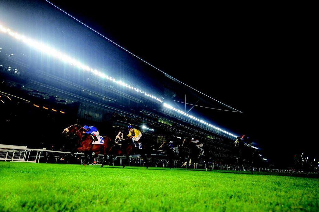 THE MEYDAN фото 6
